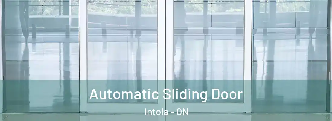  Automatic Sliding Door Intola - ON