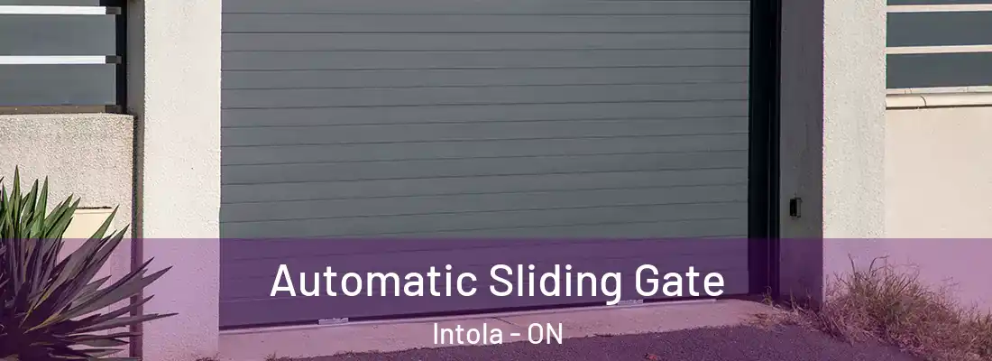  Automatic Sliding Gate Intola - ON