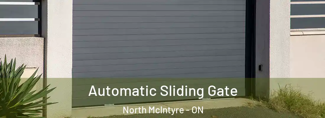  Automatic Sliding Gate North McIntyre - ON