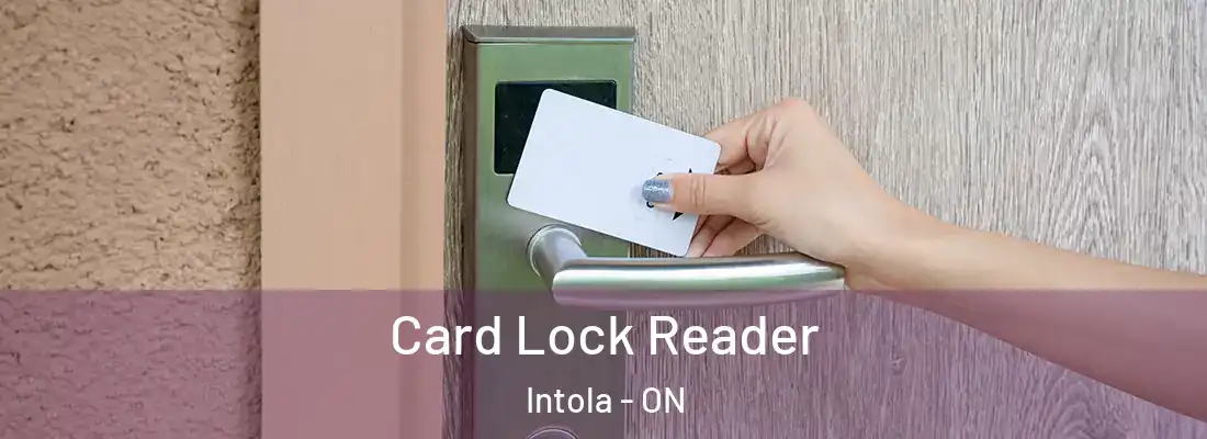  Card Lock Reader Intola - ON