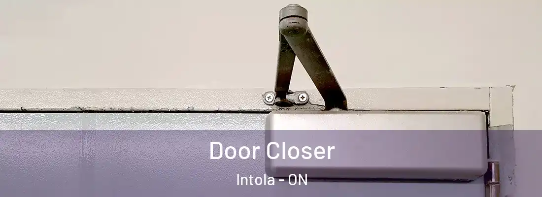  Door Closer Intola - ON
