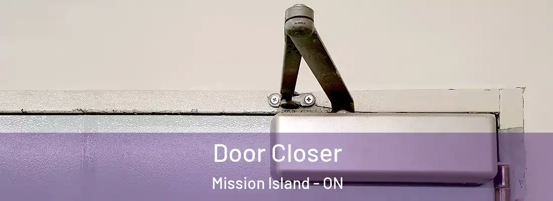  Door Closer Mission Island - ON