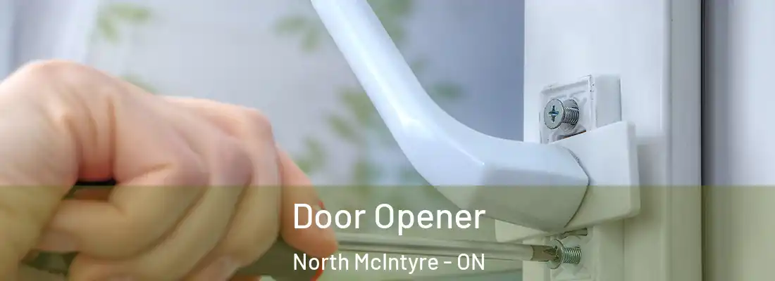  Door Opener North McIntyre - ON