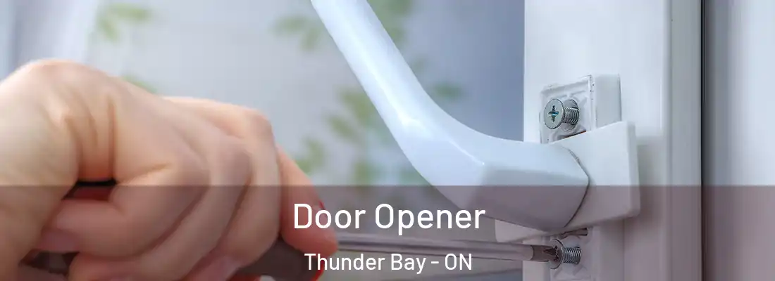  Door Opener Thunder Bay - ON