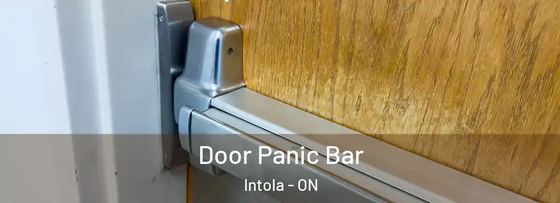  Door Panic Bar Intola - ON