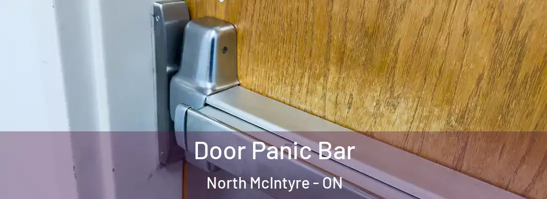  Door Panic Bar North McIntyre - ON