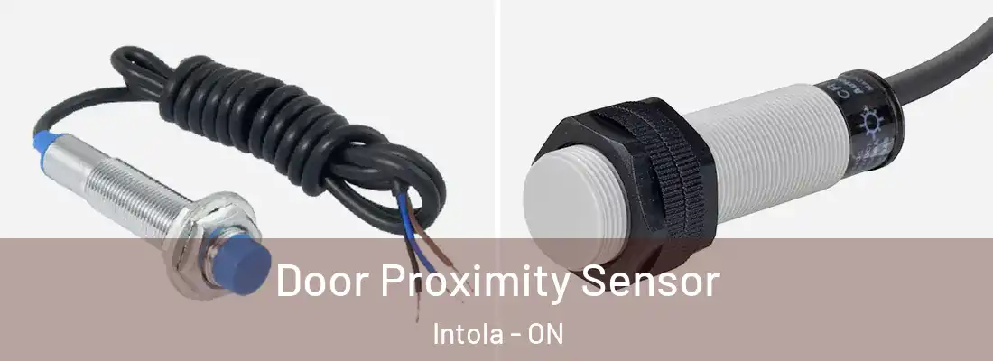  Door Proximity Sensor Intola - ON