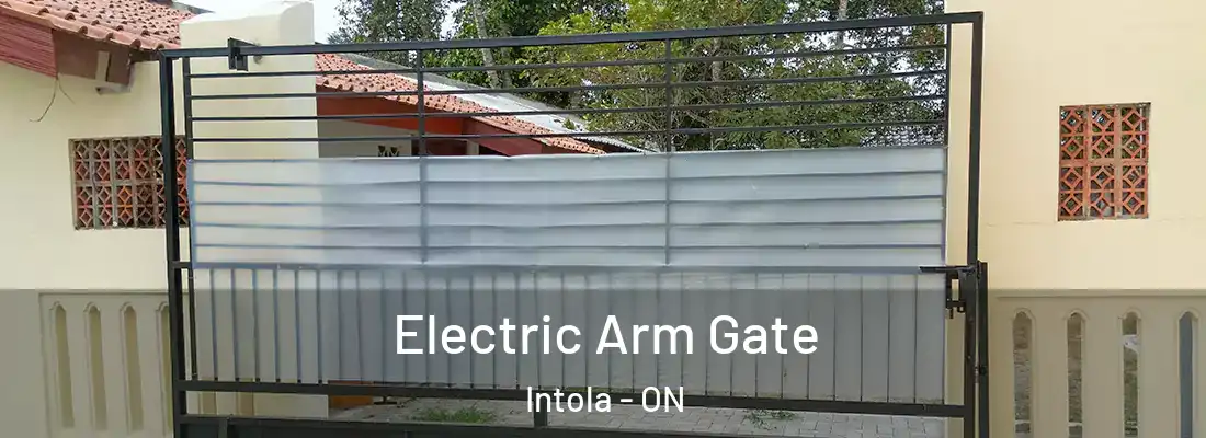  Electric Arm Gate Intola - ON