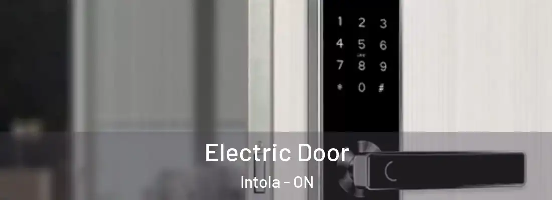  Electric Door Intola - ON