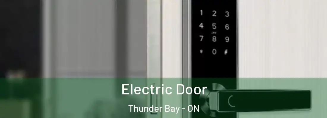  Electric Door Thunder Bay - ON