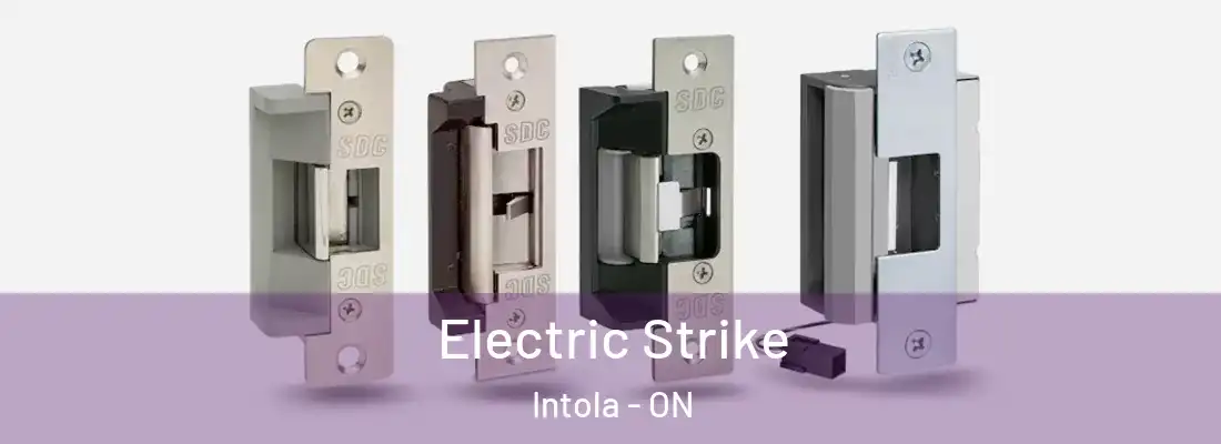  Electric Strike Intola - ON