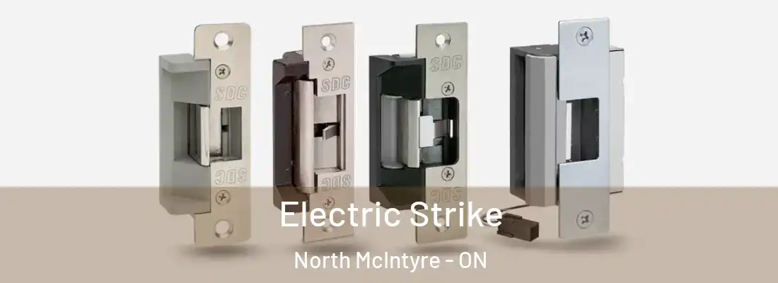  Electric Strike North McIntyre - ON