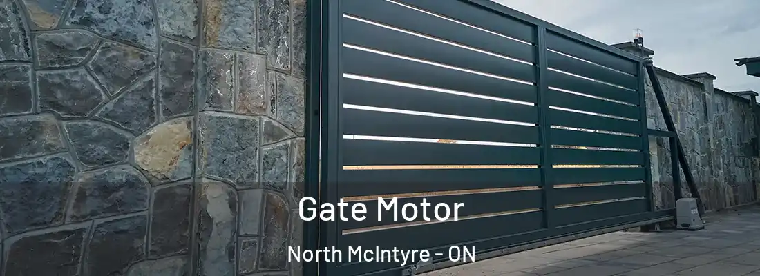  Gate Motor North McIntyre - ON