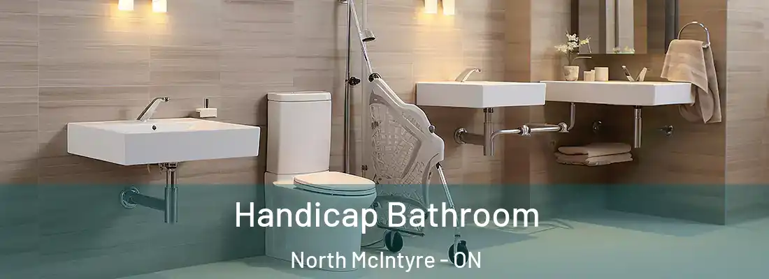  Handicap Bathroom North McIntyre - ON