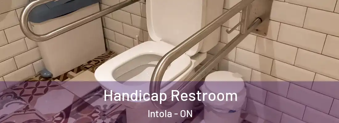  Handicap Restroom Intola - ON