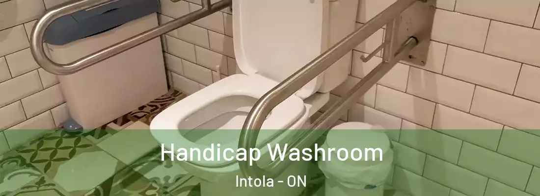  Handicap Washroom Intola - ON