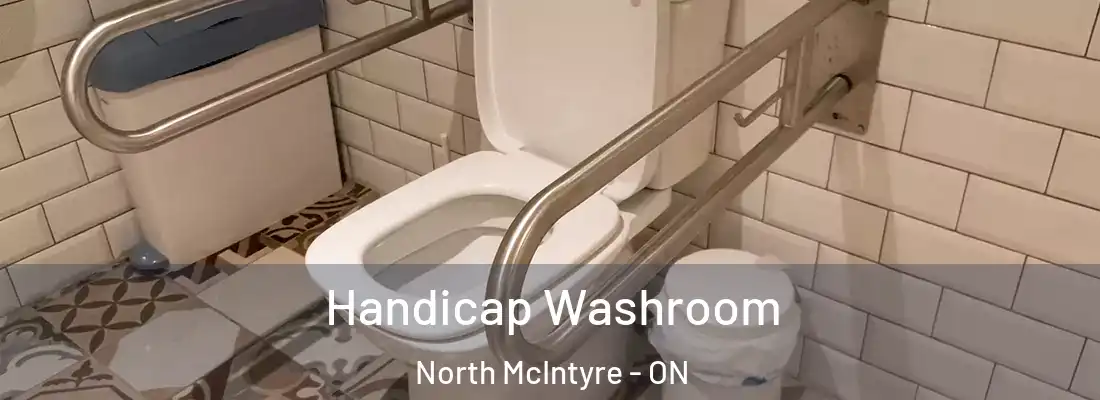  Handicap Washroom North McIntyre - ON