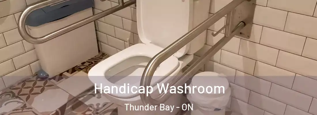  Handicap Washroom Thunder Bay - ON