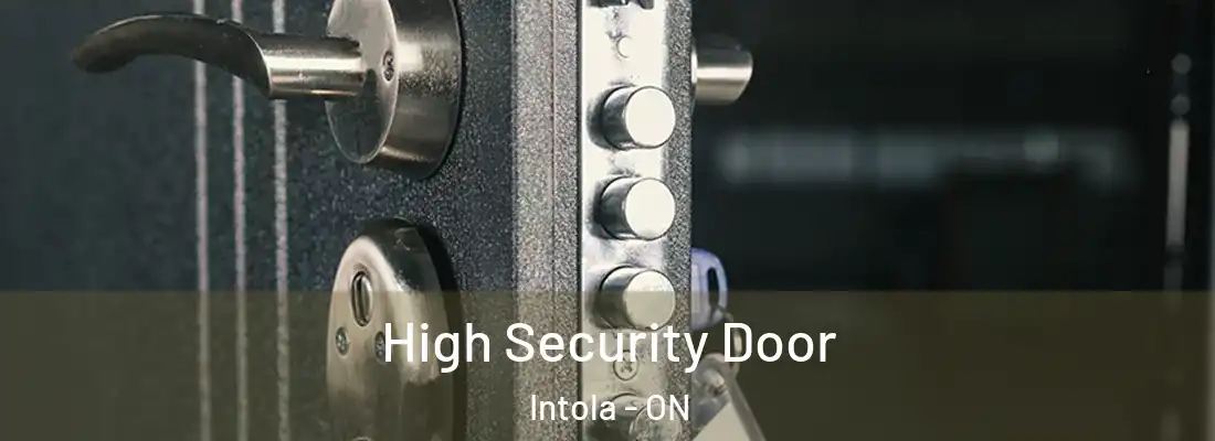  High Security Door Intola - ON