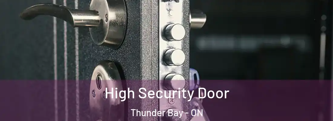  High Security Door Thunder Bay - ON