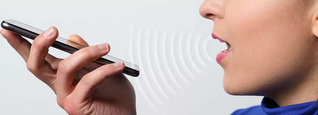 Residential and Commercial Voice Recognition Access Solutions in Westfort, ON