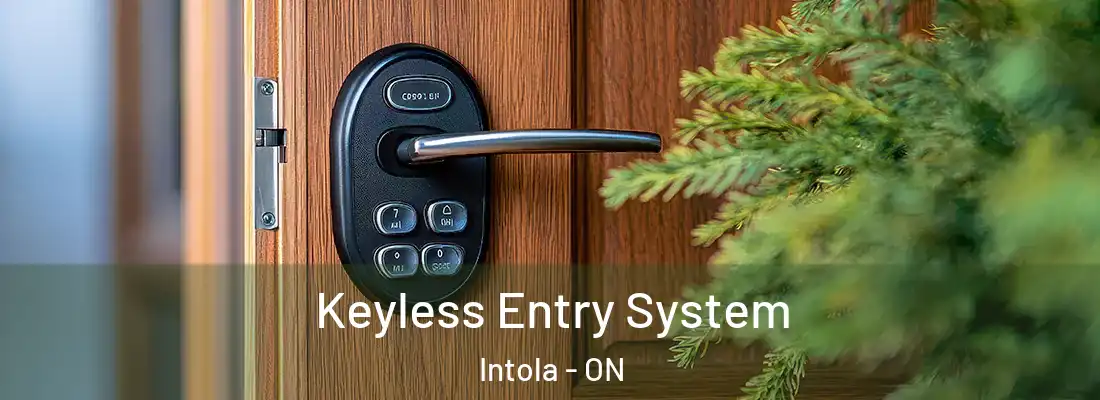  Keyless Entry System Intola - ON