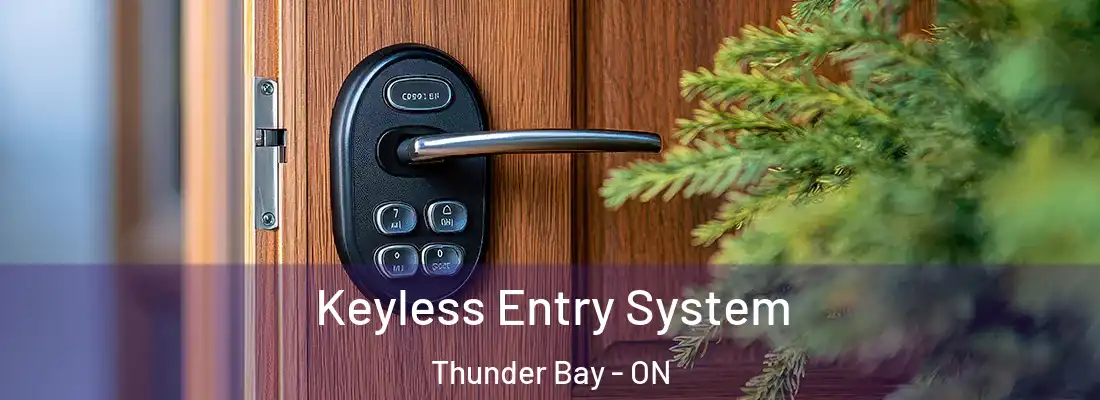  Keyless Entry System Thunder Bay - ON