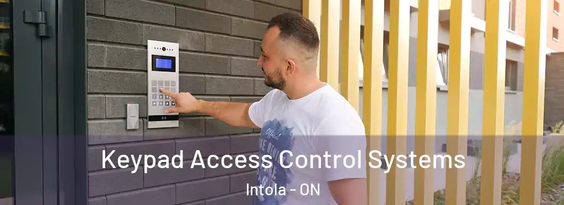  Keypad Access Control Systems Intola - ON