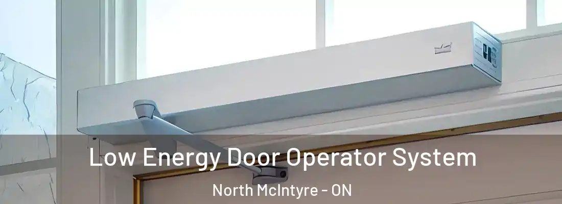 Low Energy Door Operator System North McIntyre - ON