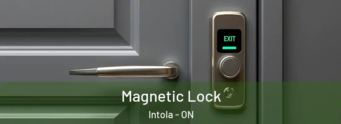  Magnetic Lock Intola - ON