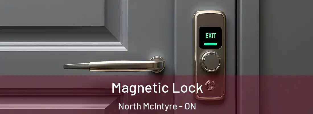  Magnetic Lock North McIntyre - ON