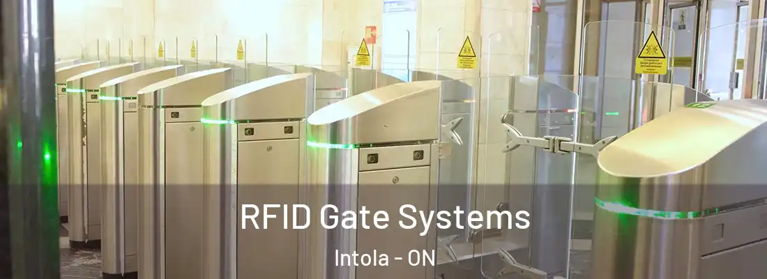  RFID Gate Systems Intola - ON