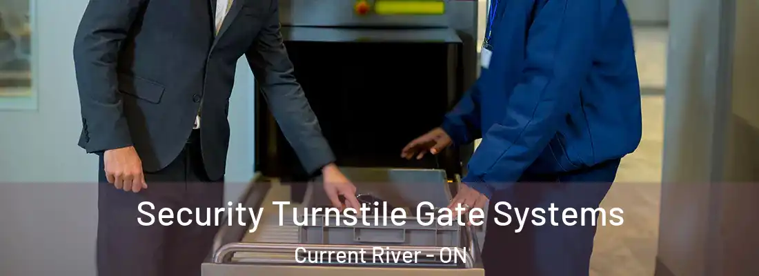  Security Turnstile Gate Systems Current River - ON