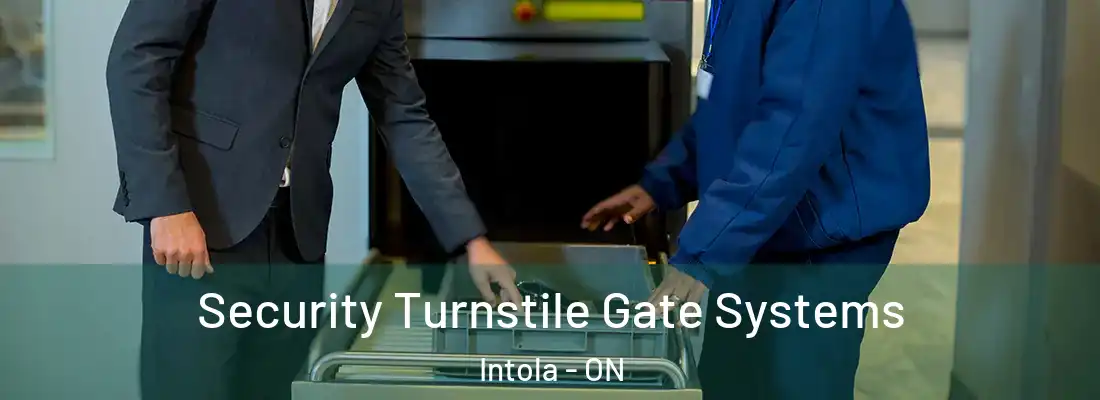  Security Turnstile Gate Systems Intola - ON