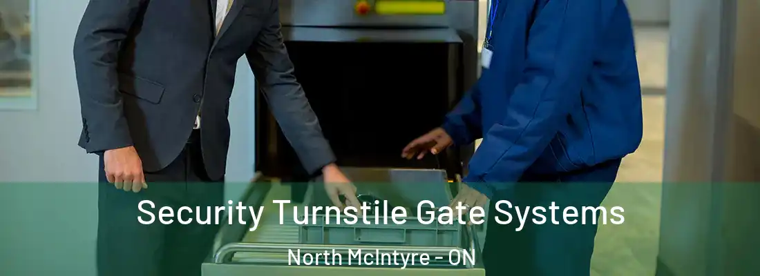  Security Turnstile Gate Systems North McIntyre - ON