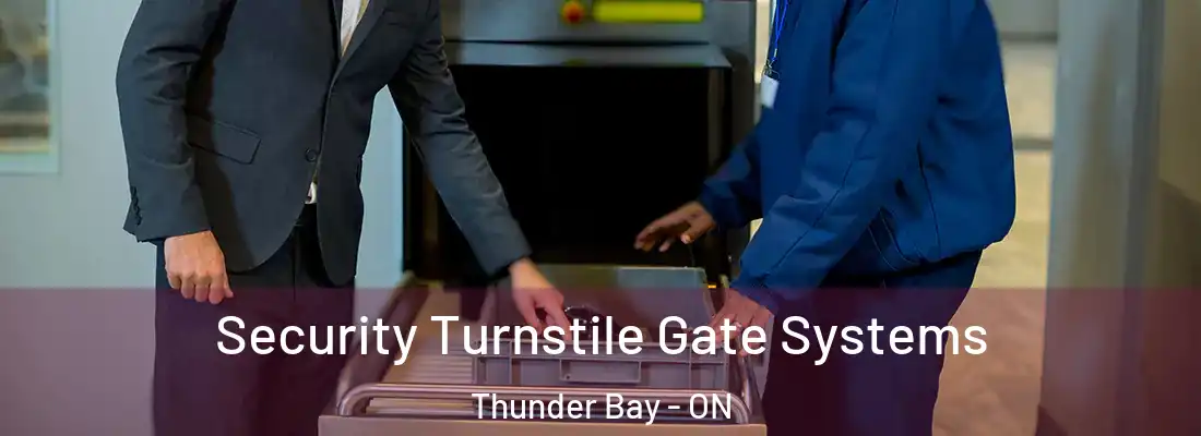  Security Turnstile Gate Systems Thunder Bay - ON