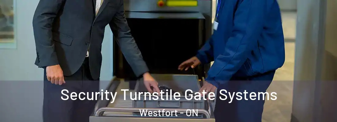  Security Turnstile Gate Systems Westfort - ON