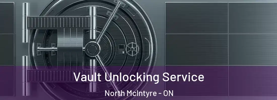  Vault Unlocking Service North McIntyre - ON