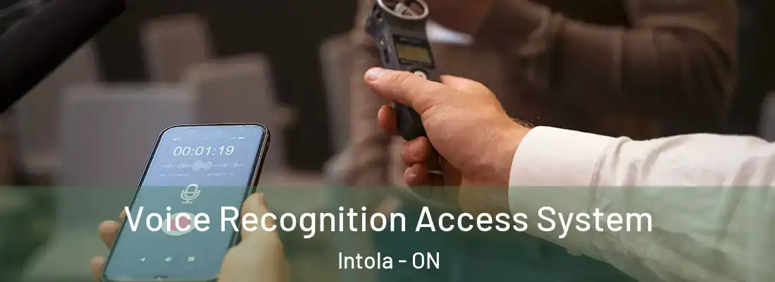  Voice Recognition Access System Intola - ON
